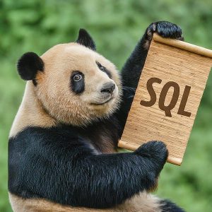 Pandas with Python GridDB SQL Queries